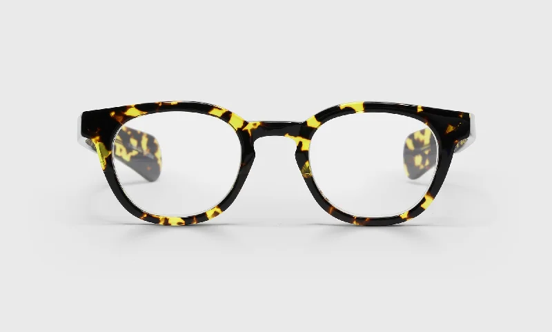 20 - Demi Tortoise Front and Temples