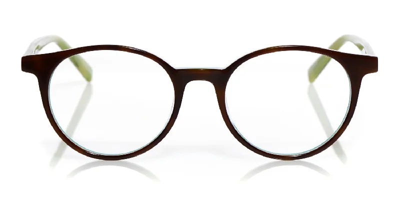 59 - Brown & Blue Front with Green Temples