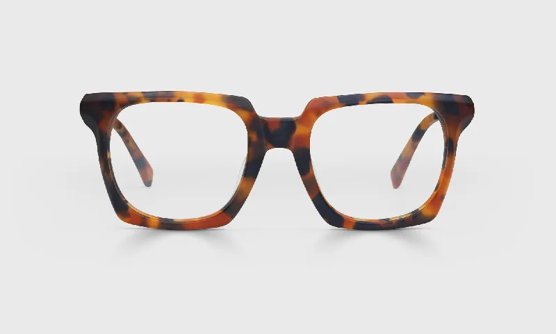 19 - Tortoise Front with Light Gunmetal Temples