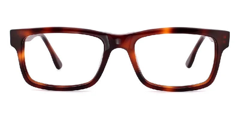 Reader-HJ16104 Tortoise