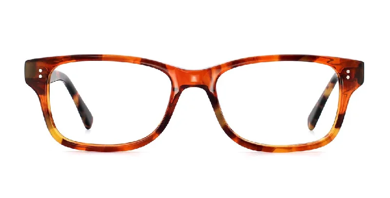 Reader-HJ16106 Tortoise