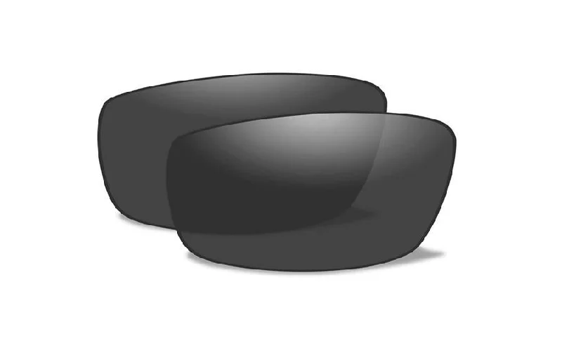 ACSLAP - Gray - Polarized Grey Lens