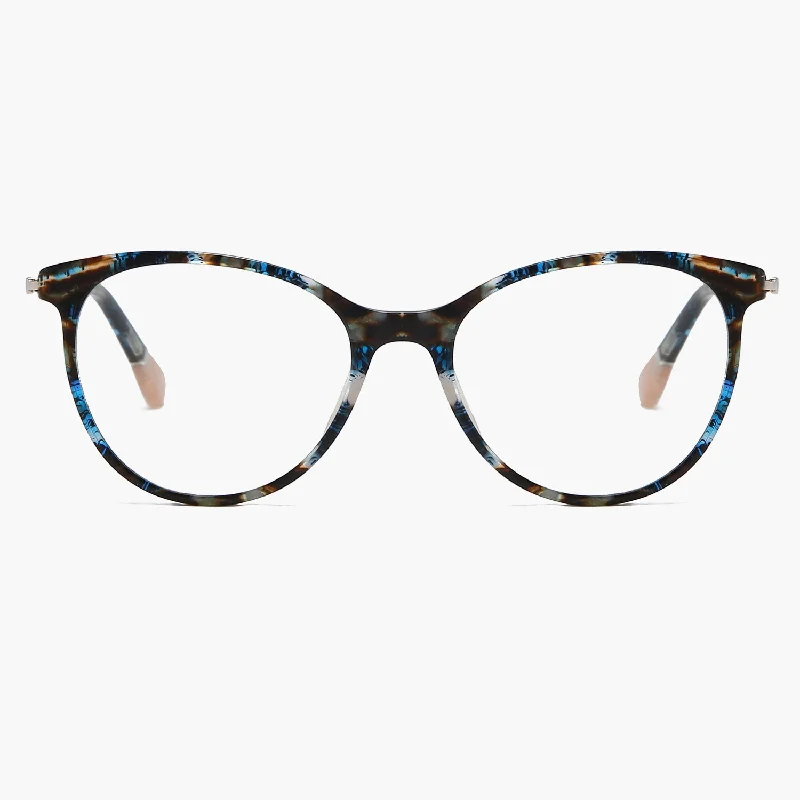 Blue Tortoise Frame